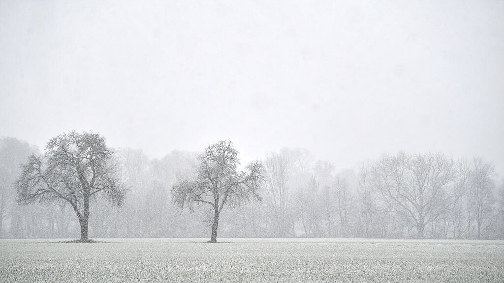 symb_schnee symb_winter