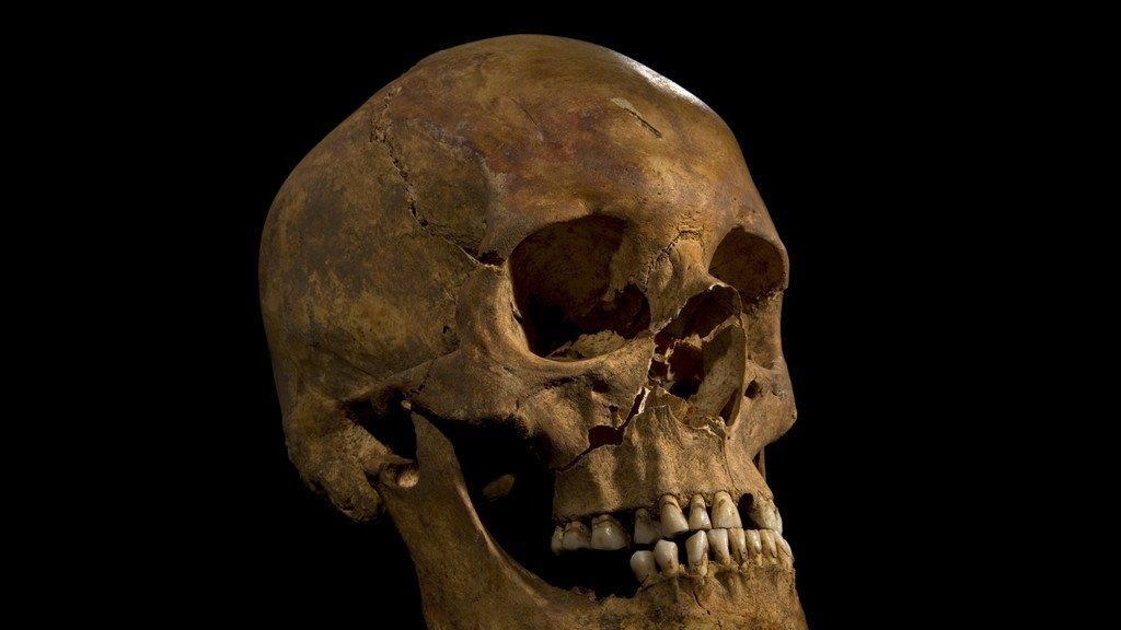Forscher rekonstruieren Gesicht Richard III.