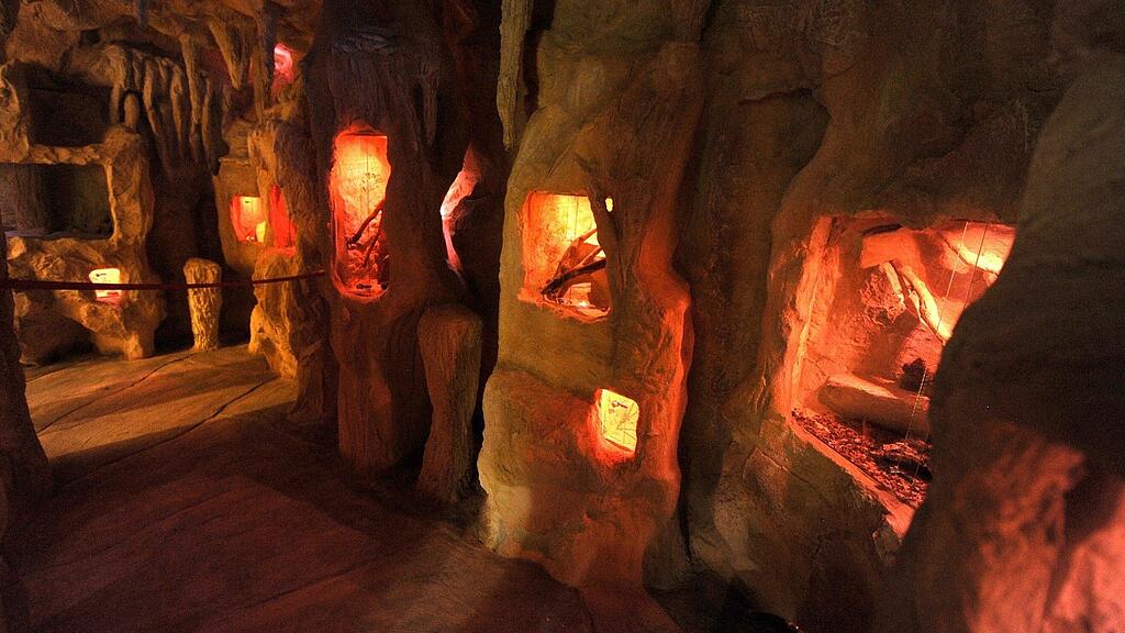 Das "Haus des Meeres" eröffnete am Mittwoch seinen Tropfsteinhöhlen-Grotte.