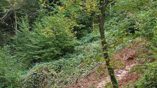 Glasenbach Klamm gesperrt