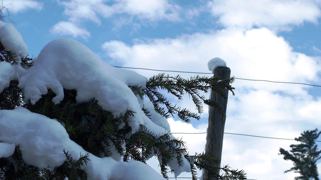Salzburgs schönste Winterlandschaften II