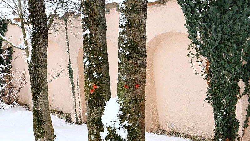 Bilder aus Klessheim