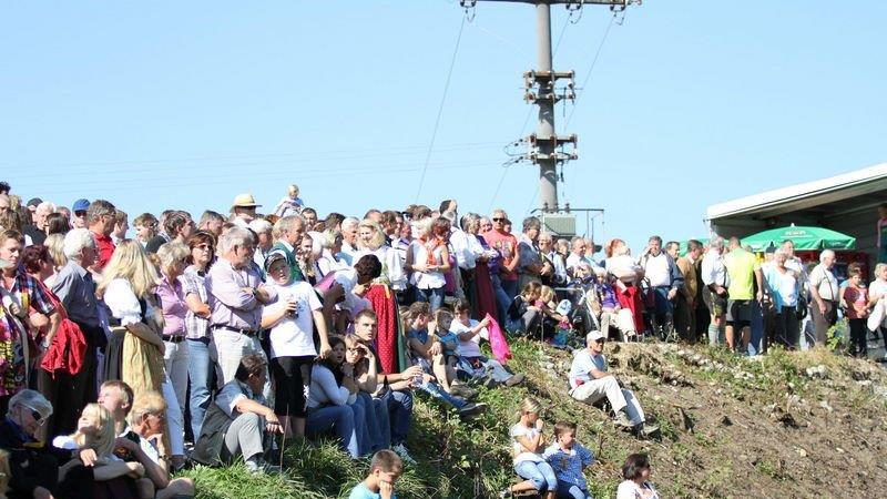 Ochsenrennen in Surheim