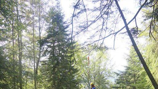 Wanderin stürzt auf Reiter Alpe in Bachbett