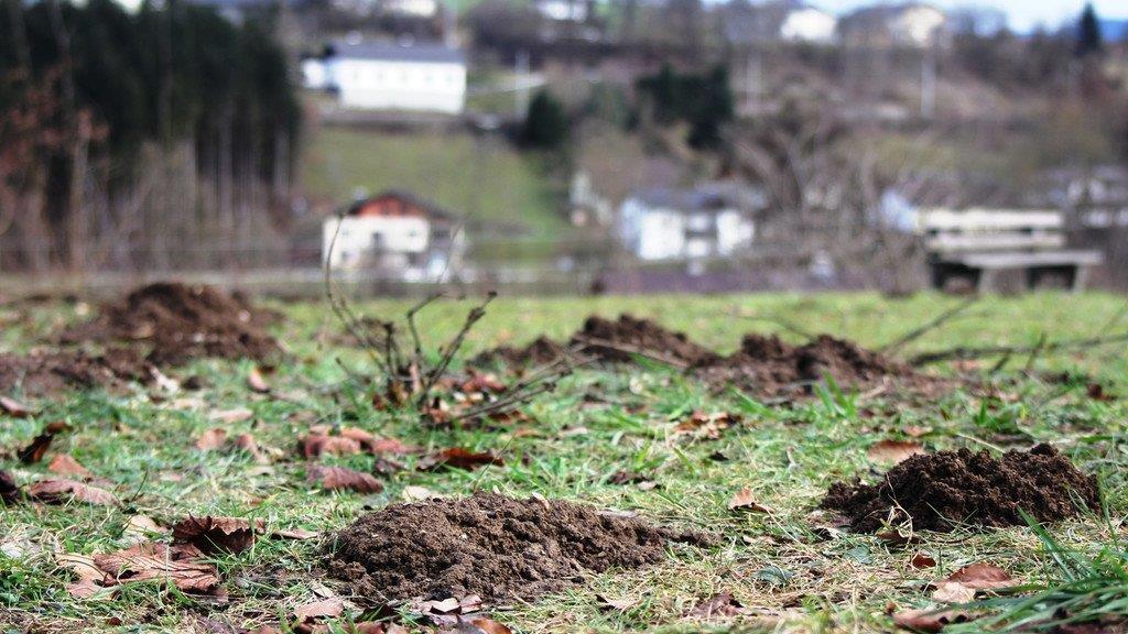 Tauwetter in OÖ II