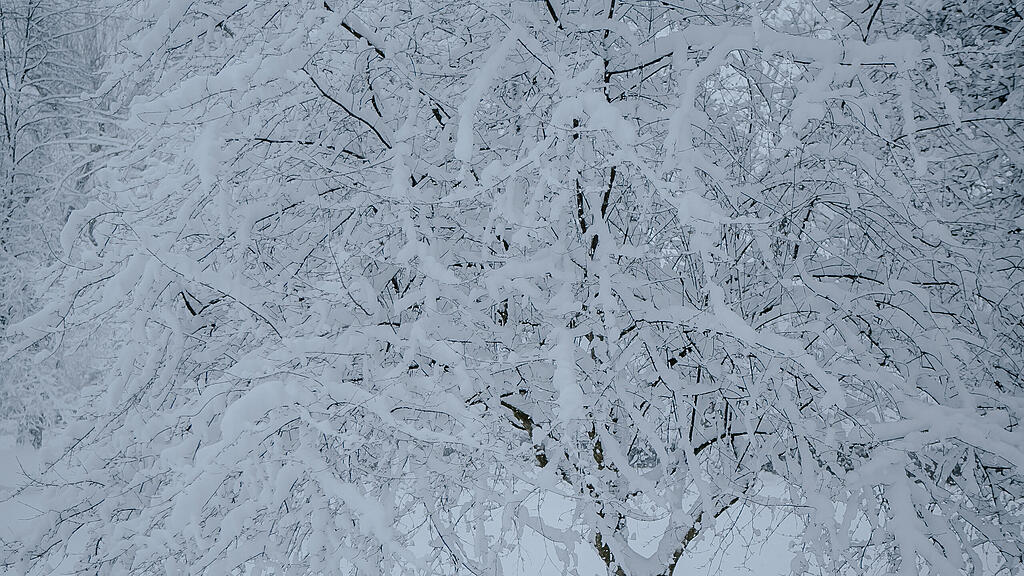 Verschneites Salzburg in den Morgenstunden