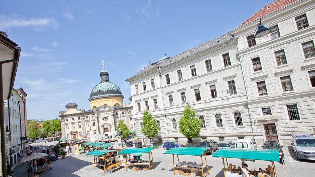 Der erste Setzlingsmarkt