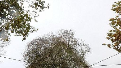 Sturmtief "Herwart" zieht über Salzburg hinweg I
