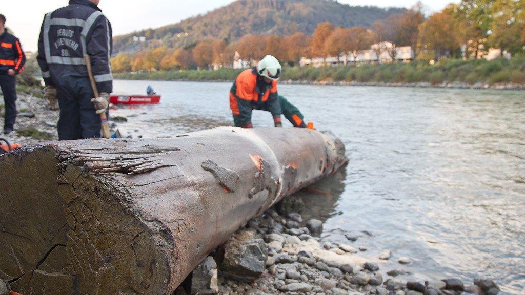 Berufsfeuerwehr barg Riesen-Baumstamm