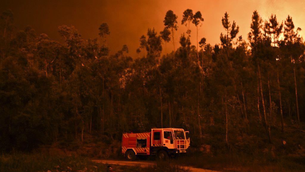Waldbrand in Portugal