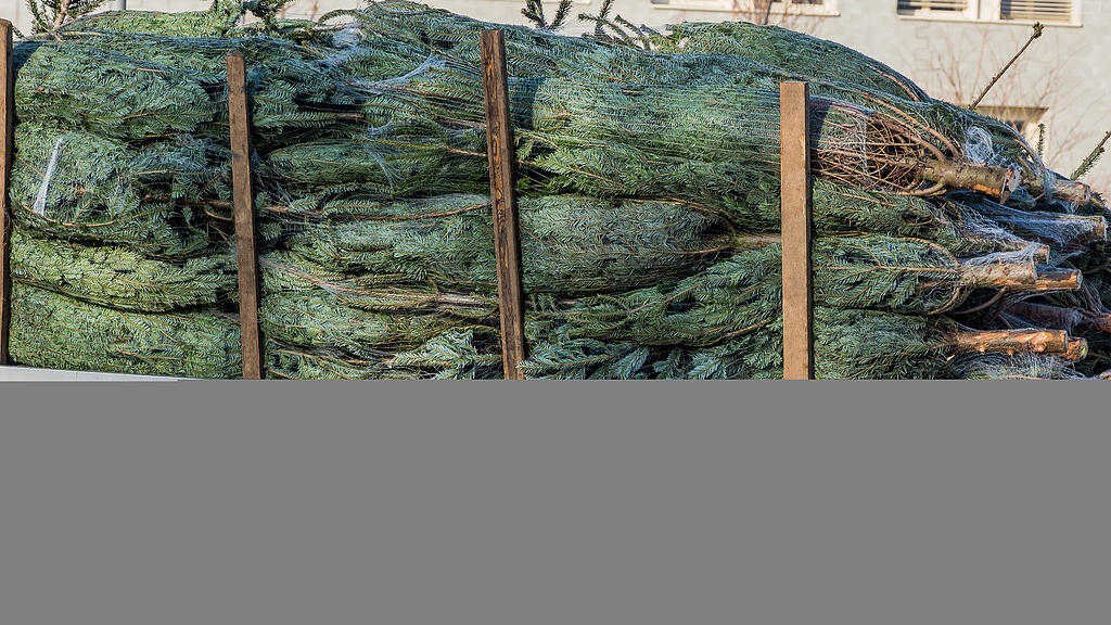 symb_Christbaum, symb_Christbaumverkauf, symb_Weihnachtsbaum