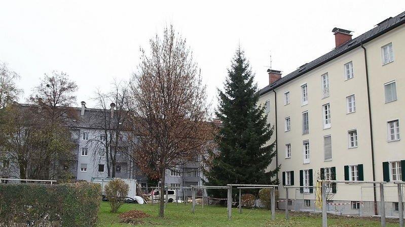 Bauarbeiten in der Strubergasse