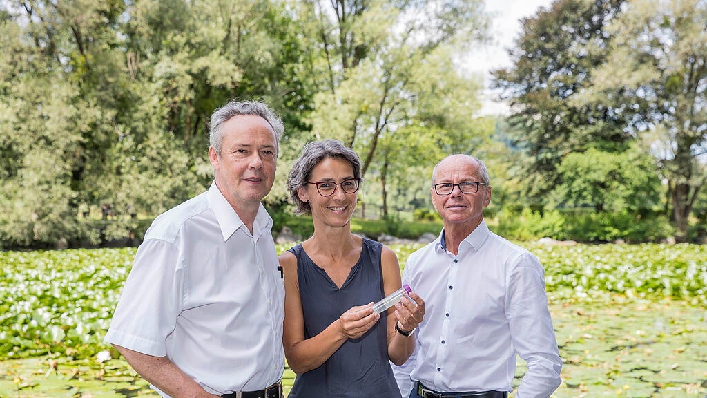 Gelsen-Monitoring Salzburg