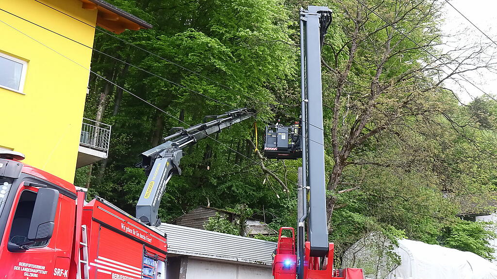 Baum fällt auf Stromleitung