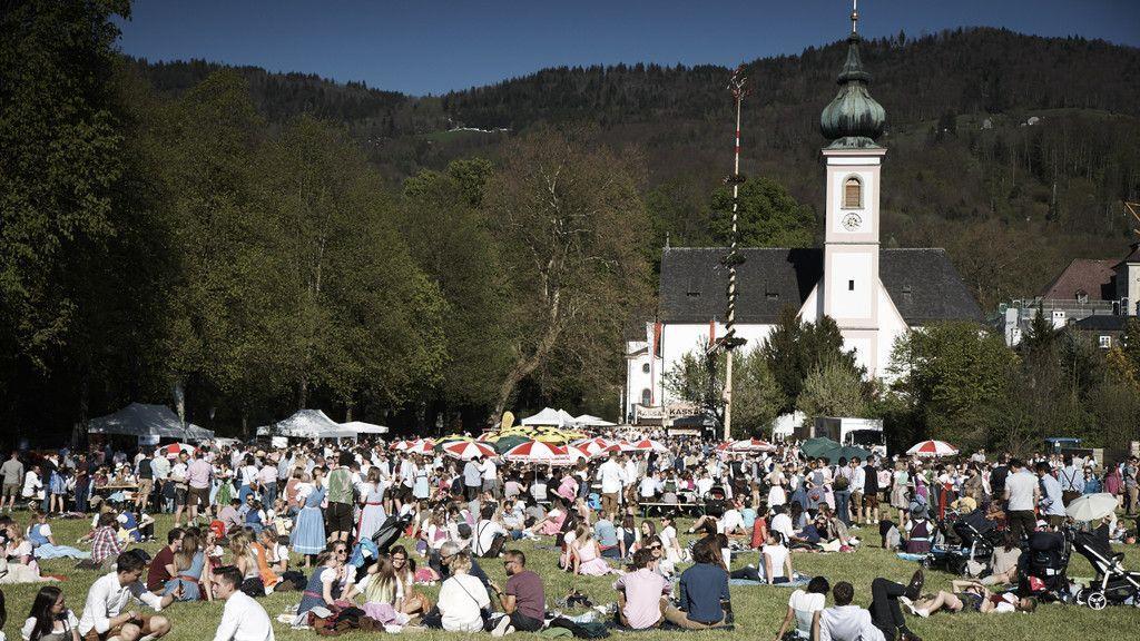 Maibaumaufstellen in Aigen