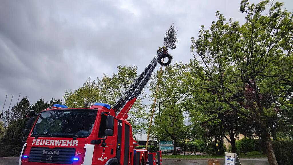 Maibaum droht in Zell am See umzustürzen
