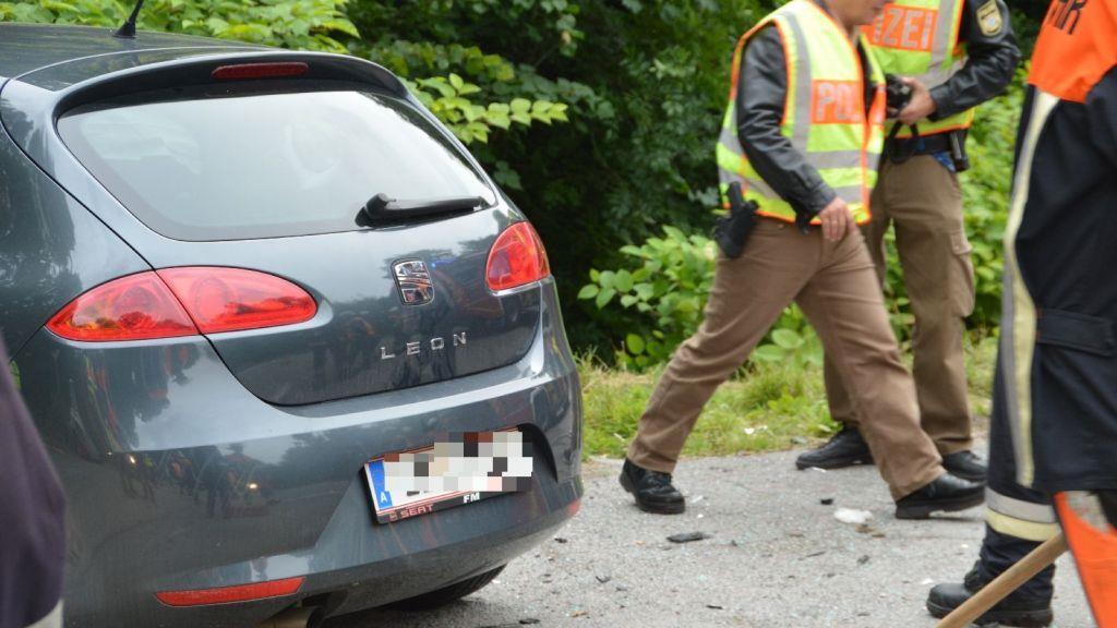 Pinzgauerinnen in Bayern verletzt, I