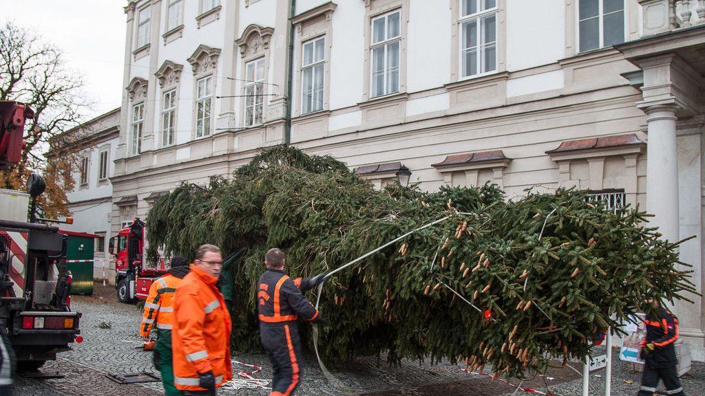 Christbaumaufstellen vor dem Schloss Mirabell