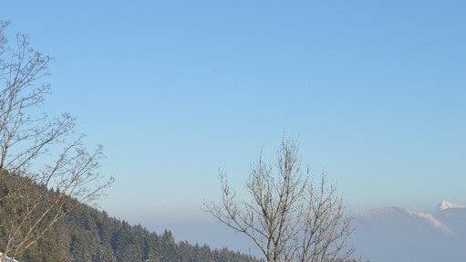 Winterspaziergang am Gaisberg