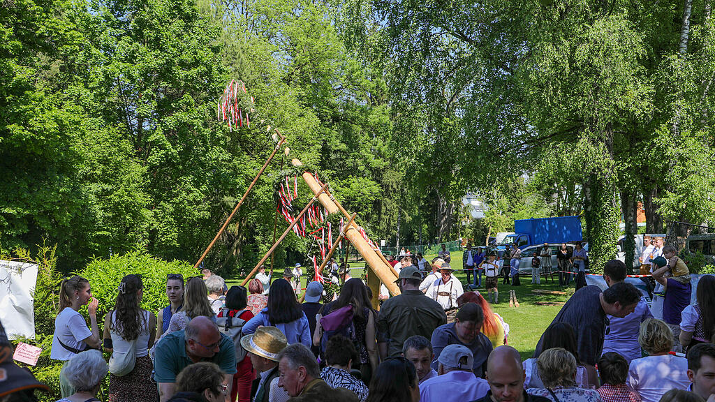 Maibaumaufstellen in Maxglan