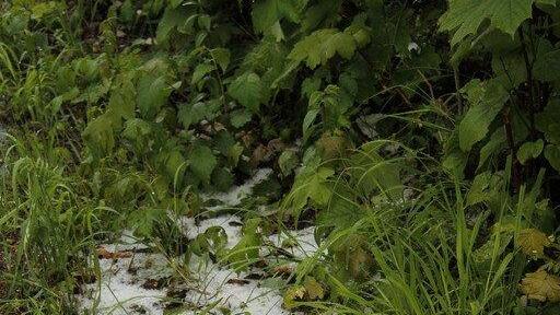 Regen und Hagel in Salzburg und OÖ