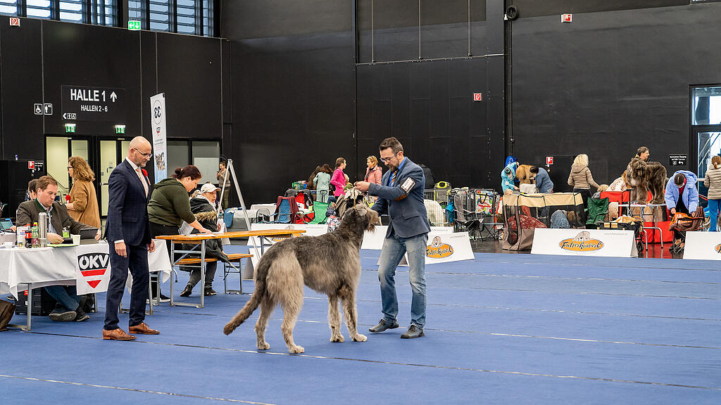 Internationale Hundeausstellung Salzburg 2022