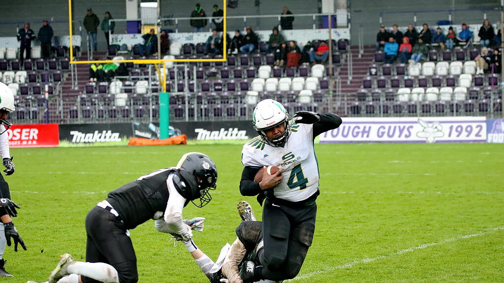 Salzburg Ducks - Mödling