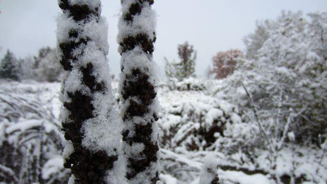 So schön kann der Winter sein