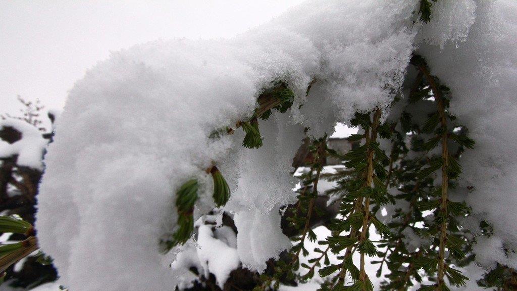 Schnee in Mühlbach/Hochkönig