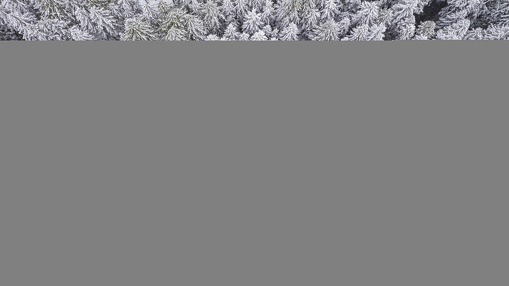 Wintereinbruch: Neuschnee in Tirol, Schnee,
