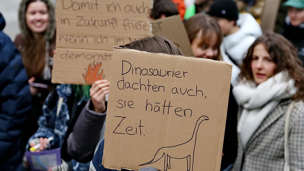 Klimastreik in Salzburg II