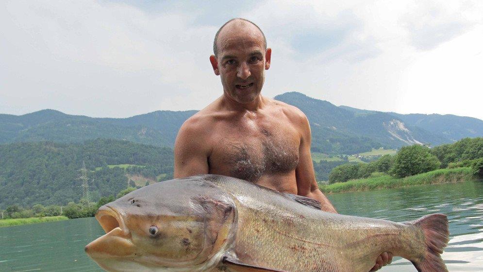 Die beeindruckendsten Tierbilder KW 26