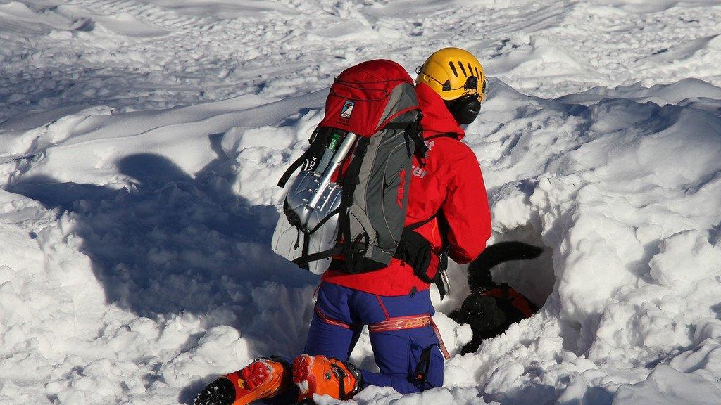 Superhunde im Einsatz