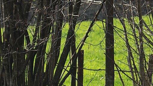 Tödlicher Unfall auf B305