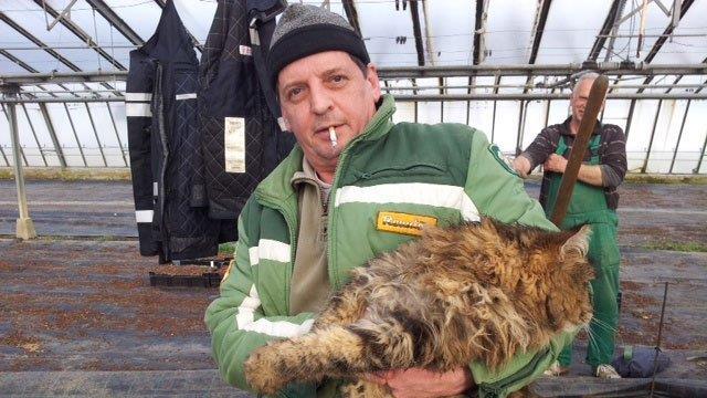 Wien-Simmering: Katze überlebte sieben Tage in Brunnenschacht