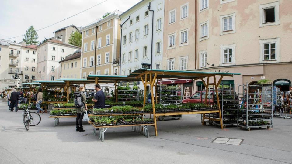Setzlingsmarkt am Kajetanerplatz