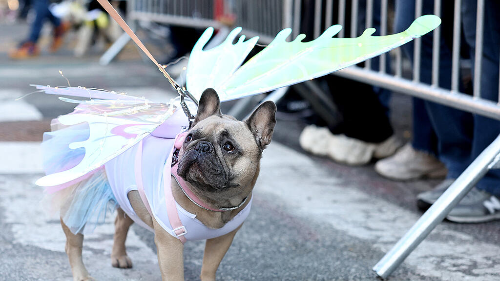 Halloween Parade