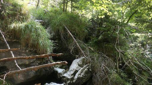 Wanderin stürzt auf Reiter Alpe in Bachbett