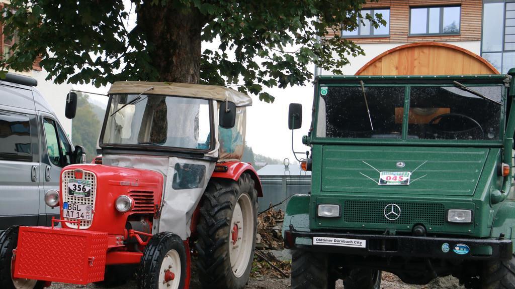 16. Oldtimer Traktor WM