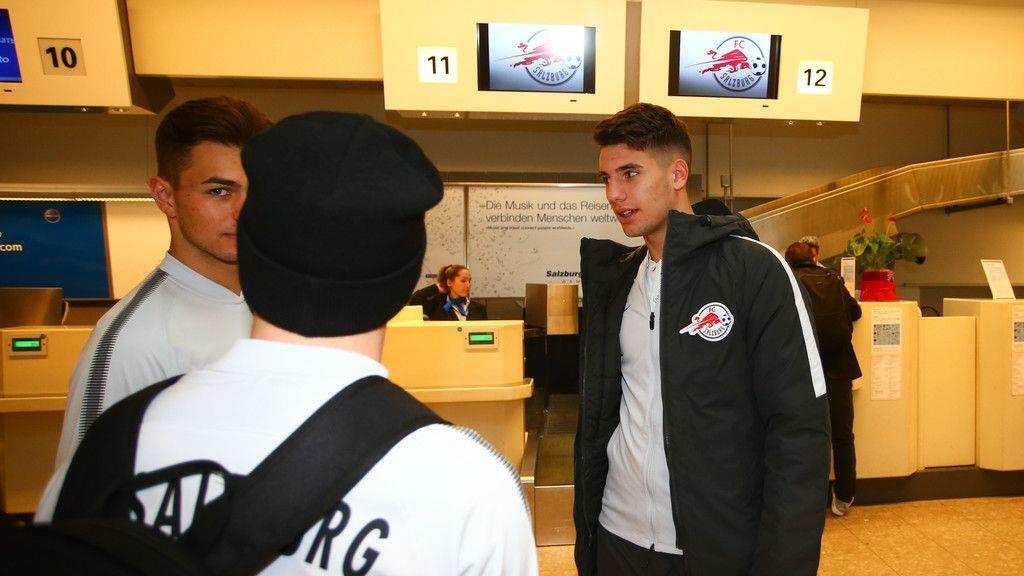 Jungbullen am Flughafen