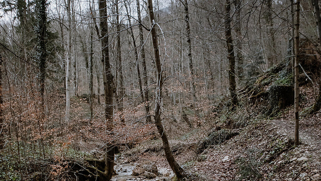 Nachmittagsspaziergang Hexenloch