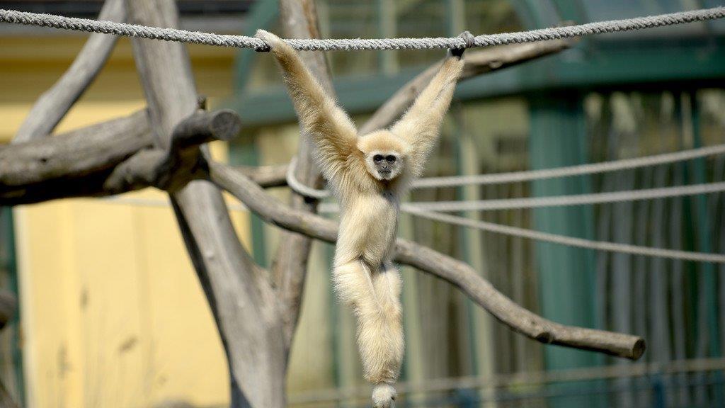 Die beeindruckensten Tierbilder KW 17