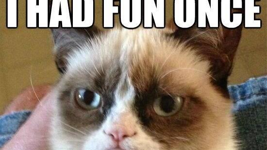 Tard, the grumpy cat: Die besten Memes