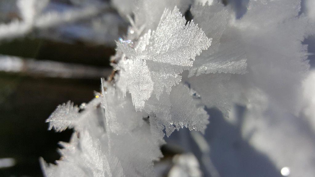 Eure schönsten Winterbilder I