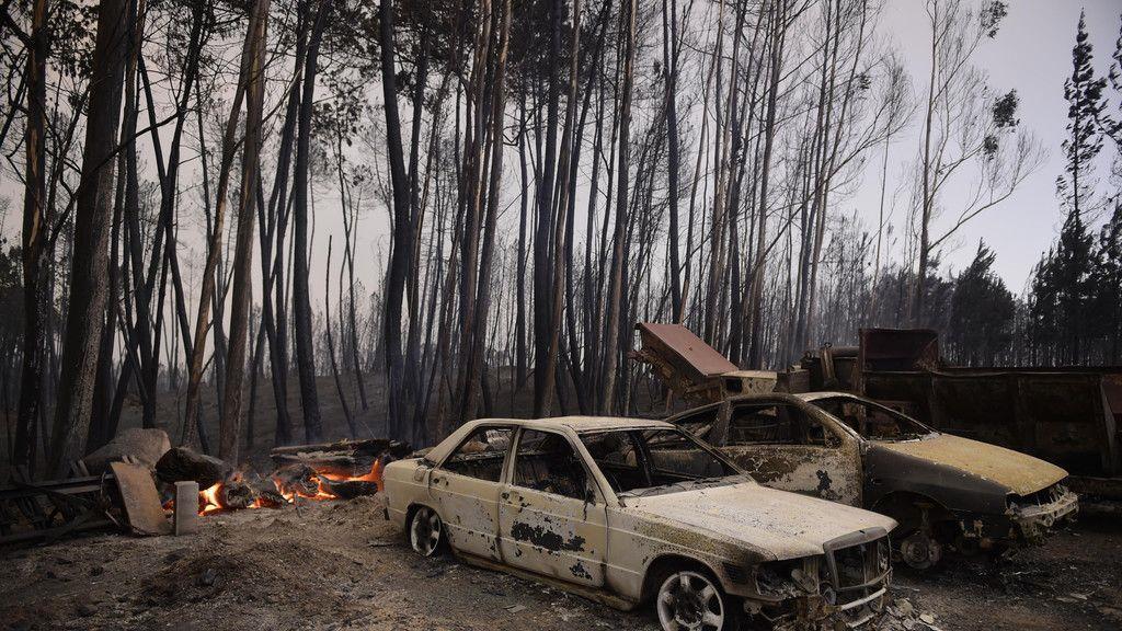 Waldbrand in Portugal