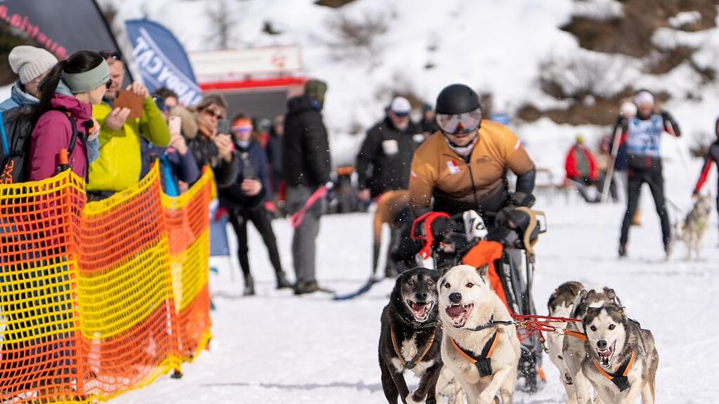Schlittenhunderennen in Sportgastein