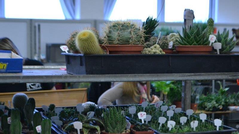 Leserreporter bei der Exotica Reptilienbörse in Wien