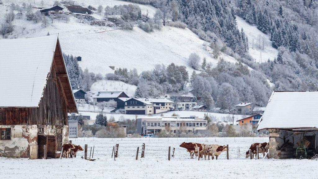 Winterliche Bilder aus Zell am See