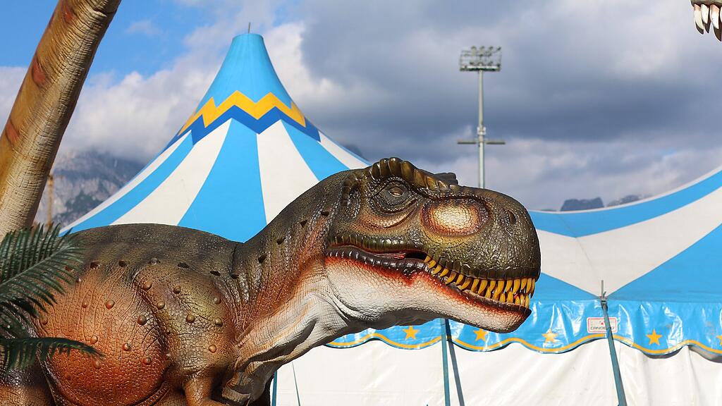 "Big King Dinosaurier of Animatronic" in Bischofshofen