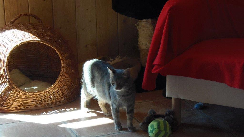 Impressionen der Tiere